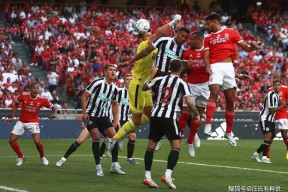 爱游戏体育-霍尊烟花易冷